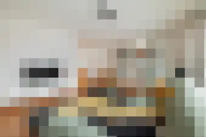 Lintdal 13 Groningen thumbnail 12