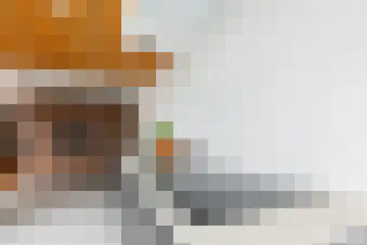 Lintdal 13 Groningen thumbnail 20