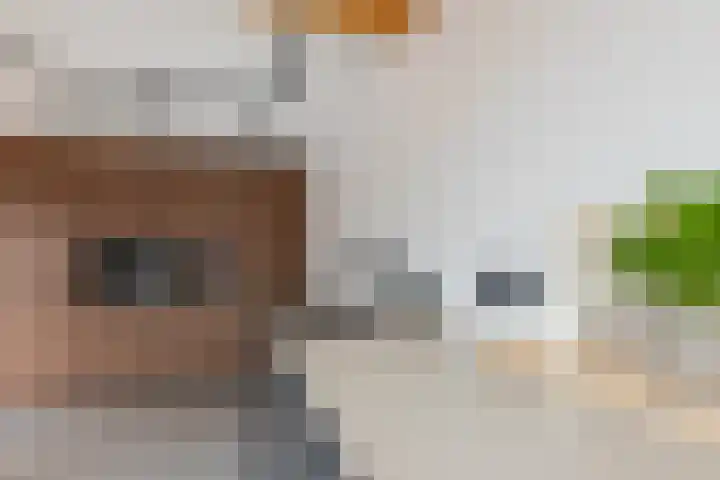Lintdal 13 Groningen thumbnail 21