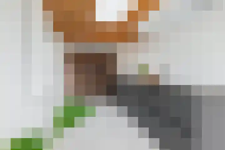 Lintdal 13 Groningen thumbnail 23