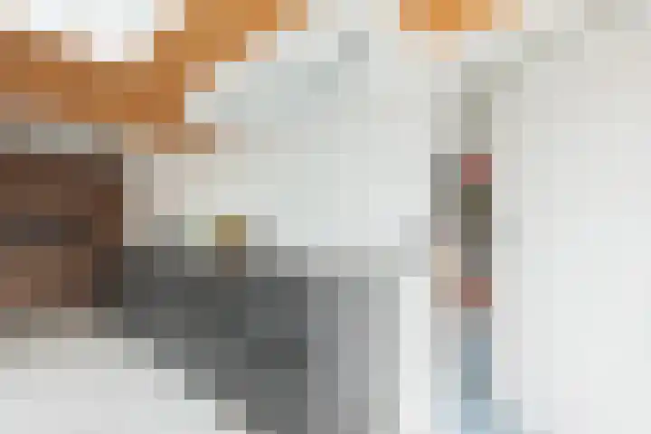 Lintdal 13 Groningen thumbnail 24