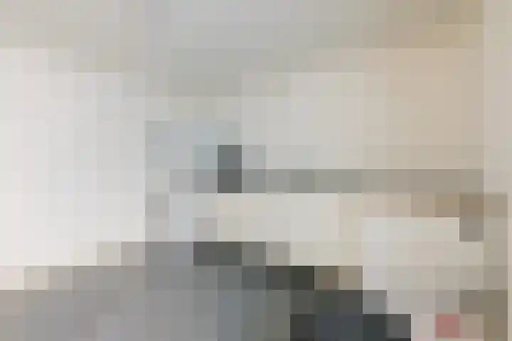 Lintdal 13 Groningen thumbnail 28