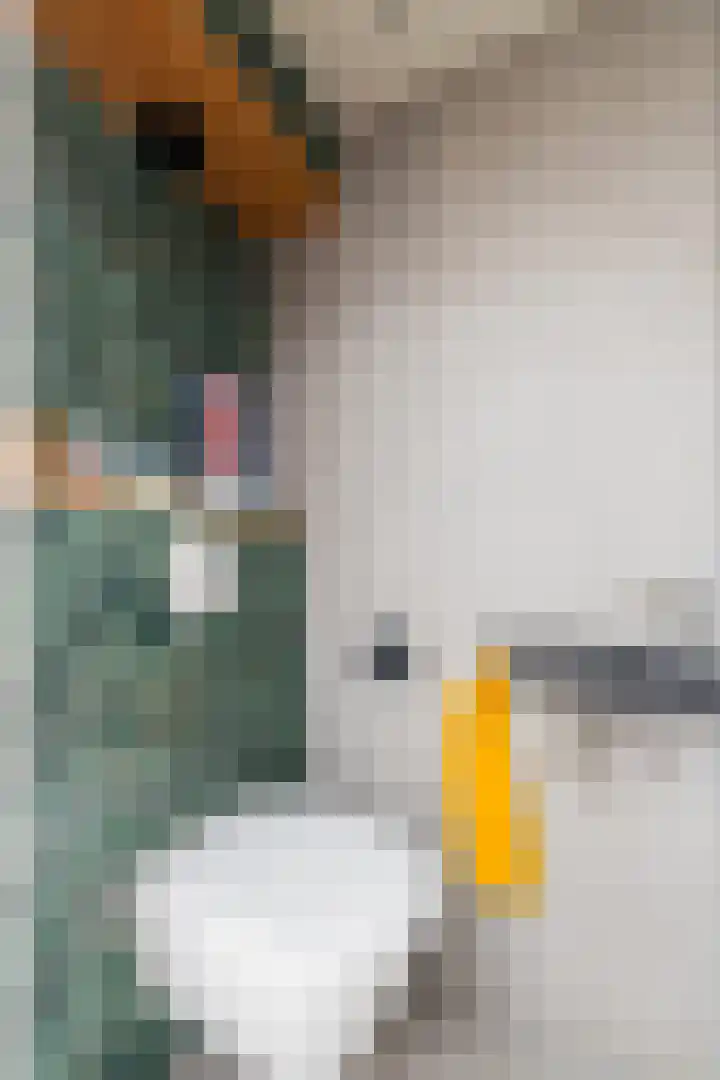 Lintdal 13 Groningen thumbnail 31