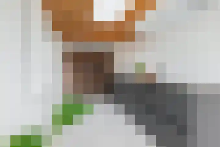 Lintdal 13 Groningen thumbnail 4