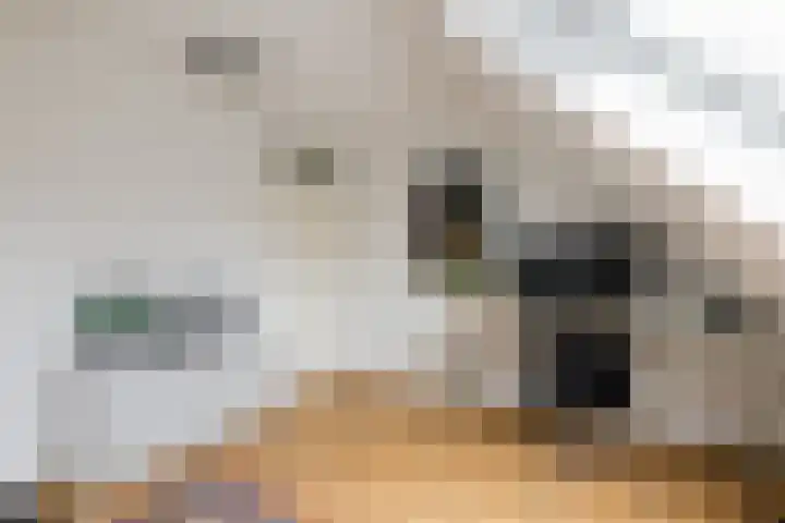 Lintdal 13 Groningen thumbnail 43