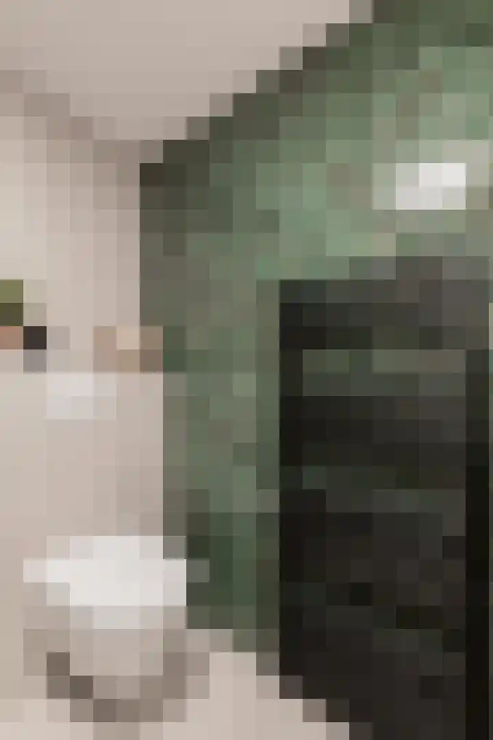 Lintdal 13 Groningen thumbnail 47