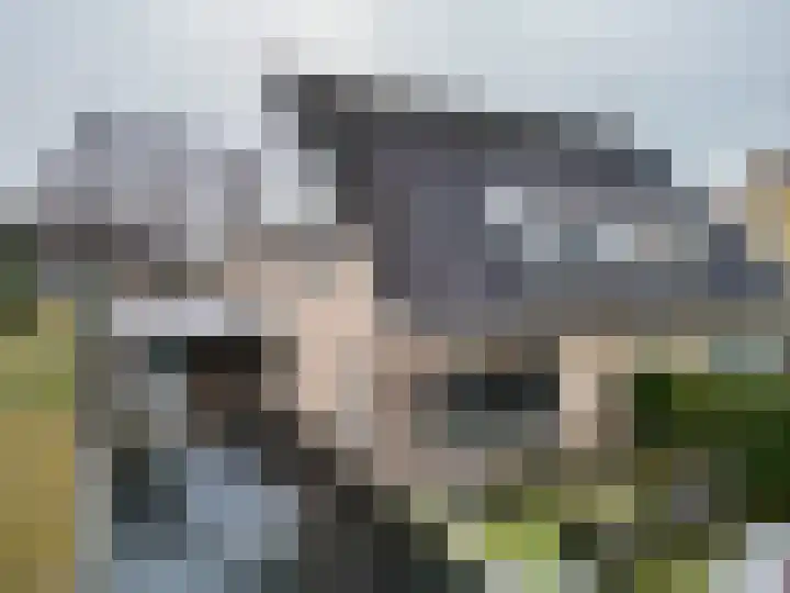 Lintdal 13 Groningen thumbnail 53