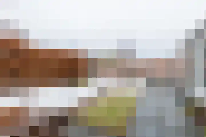 Lintdal 13 Groningen thumbnail 55