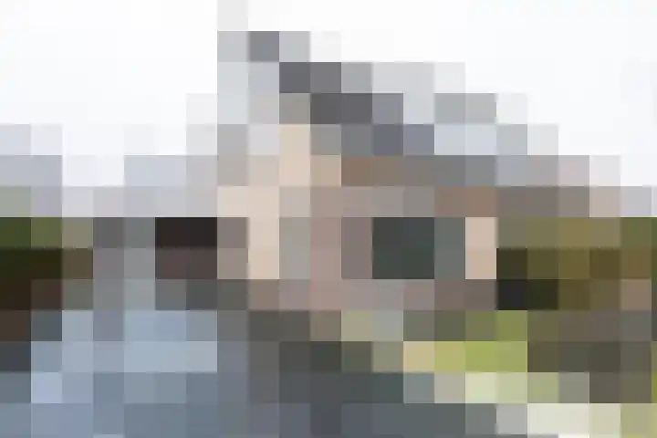 Lintdal 13 Groningen thumbnail 6