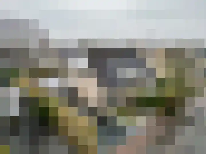 Lintdal 13 Groningen thumbnail 61