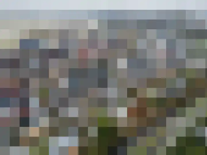 Lintdal 13 Groningen thumbnail 64