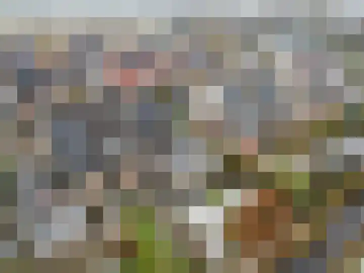 Lintdal 13 Groningen thumbnail 65