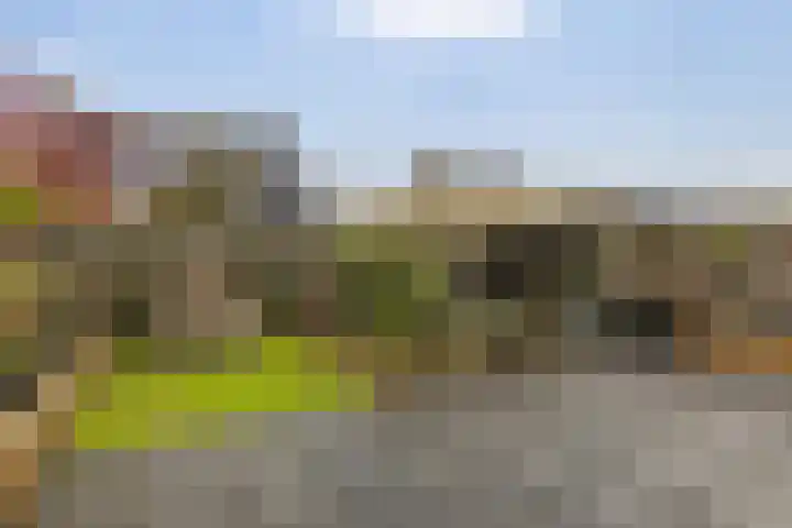 Lintdal 69 Groningen thumbnail 17
