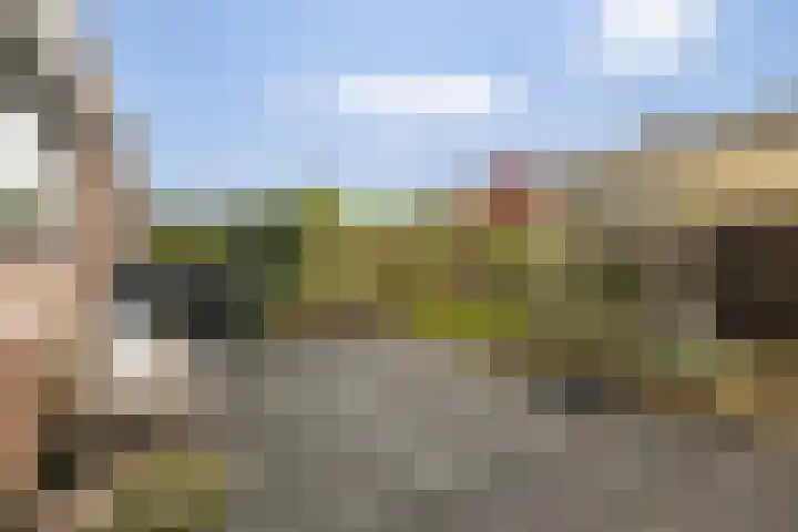 Lintdal 69 Groningen thumbnail 18