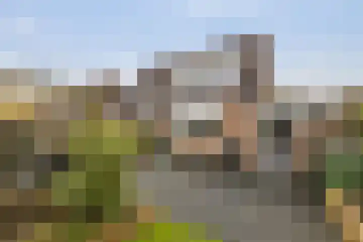 Lintdal 69 Groningen thumbnail 19