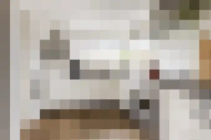 Lintdal 69 Groningen thumbnail 21
