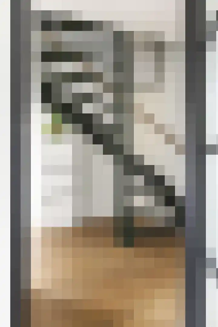 Lintdal 69 Groningen thumbnail 26