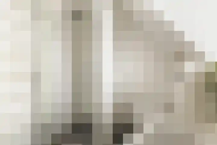 Lintdal 69 Groningen thumbnail 33