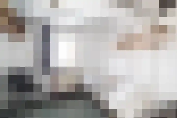 Linteloostraat 5 Bad Nieuweschans thumbnail 18
