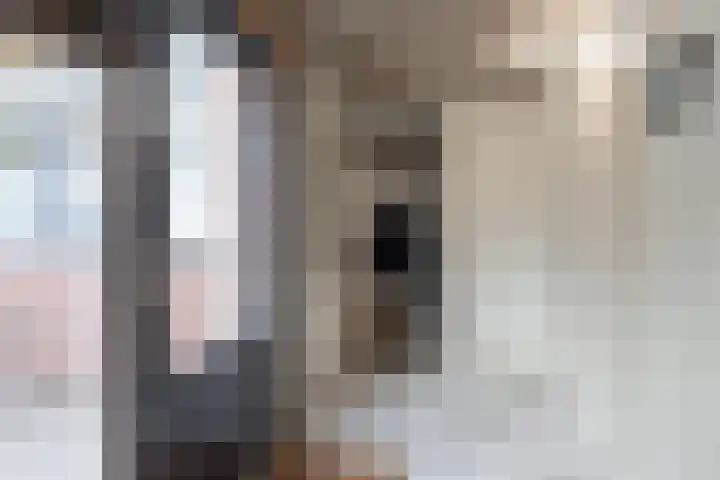 Linteloostraat 5 Bad Nieuweschans thumbnail 21