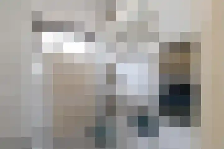 Linteloostraat 5 Bad Nieuweschans thumbnail 30