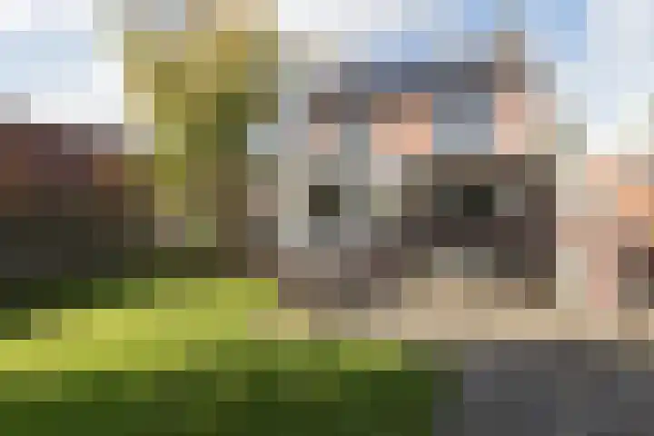 Linteloostraat 5 Bad Nieuweschans thumbnail 34