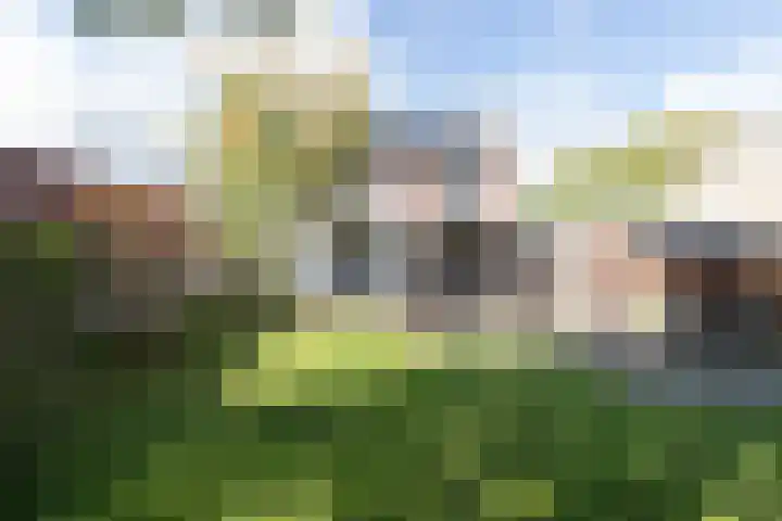 Linteloostraat 5 Bad Nieuweschans thumbnail 35