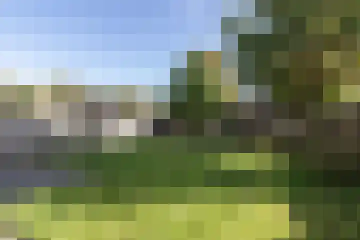 Linteloostraat 5 Bad Nieuweschans thumbnail 37