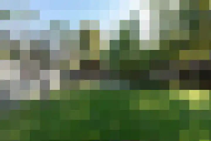 Linteloostraat 5 Bad Nieuweschans thumbnail 38