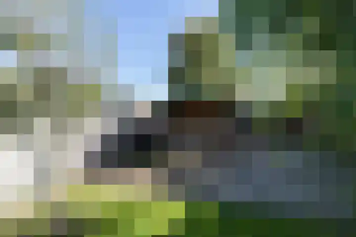 Linteloostraat 5 Bad Nieuweschans thumbnail 39