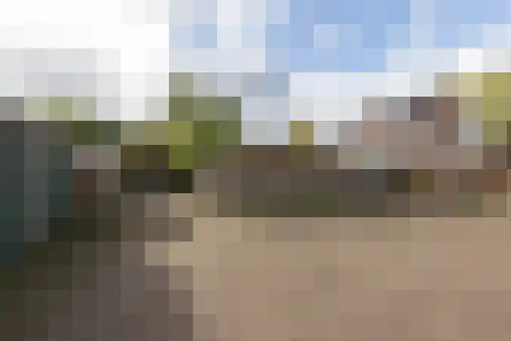 Linteloostraat 5 Bad Nieuweschans thumbnail 41