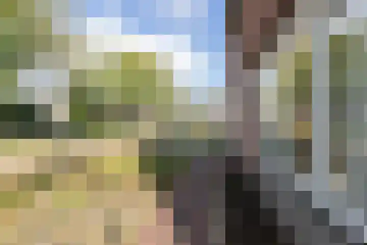 Linteloostraat 5 Bad Nieuweschans thumbnail 42