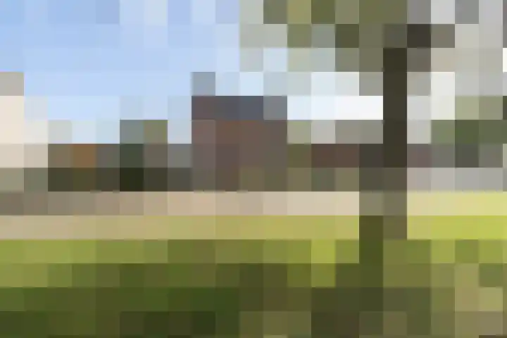 Linteloostraat 5 Bad Nieuweschans thumbnail 44