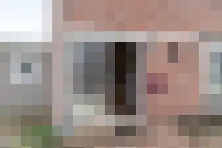 Linteloostraat 5 Bad Nieuweschans thumbnail 7