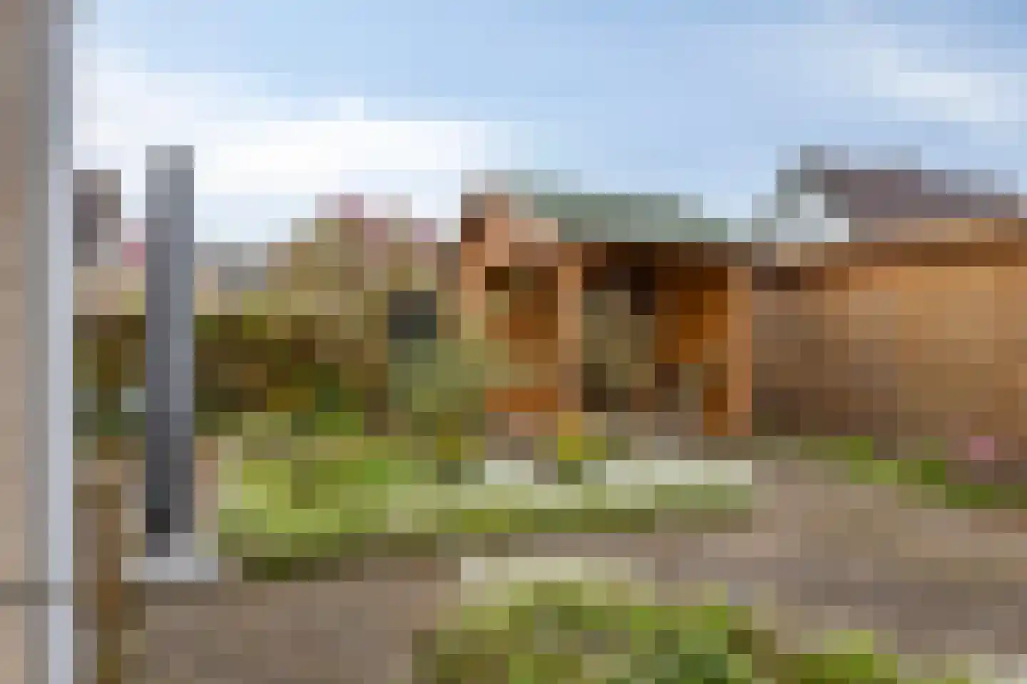 Lintelostraat 39 Zutphen thumbnail 31