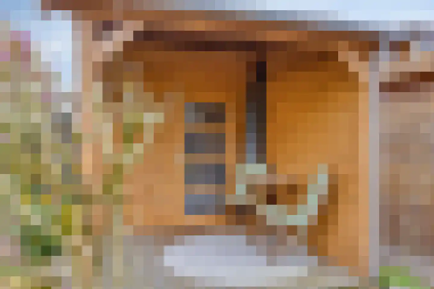 Lintelostraat 39 Zutphen thumbnail 32