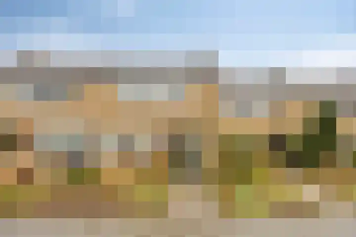 Lintelostraat 67 Zutphen