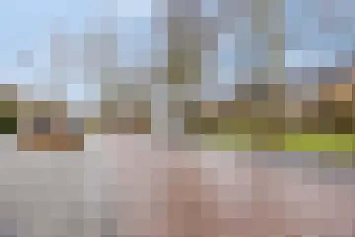 Lintelostraat 67 Zutphen thumbnail 32