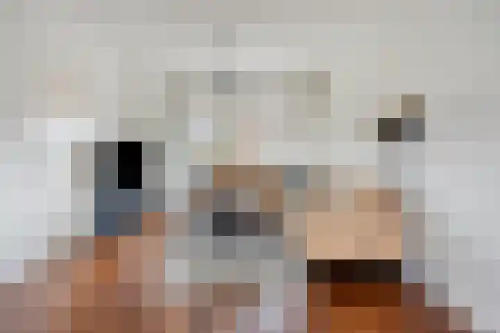 Lintelostraat 67 Zutphen thumbnail 8