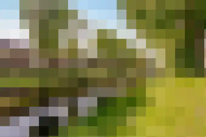 Lintermansstraat 17 's-Hertogenbosch thumbnail 54