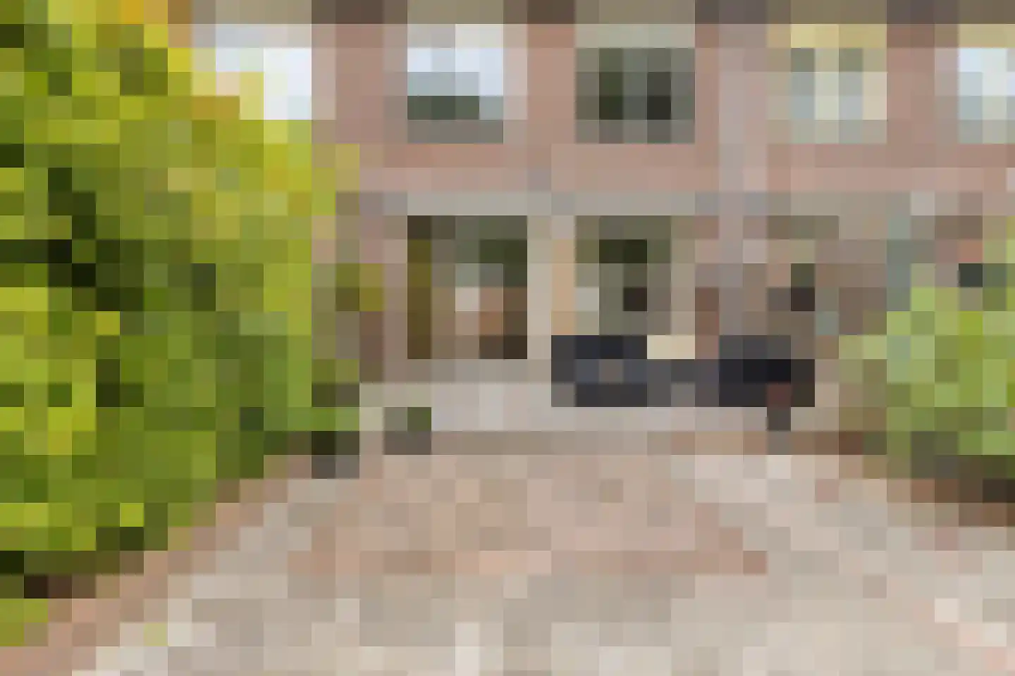 Lintgrasstraat 53 Almere thumbnail 33