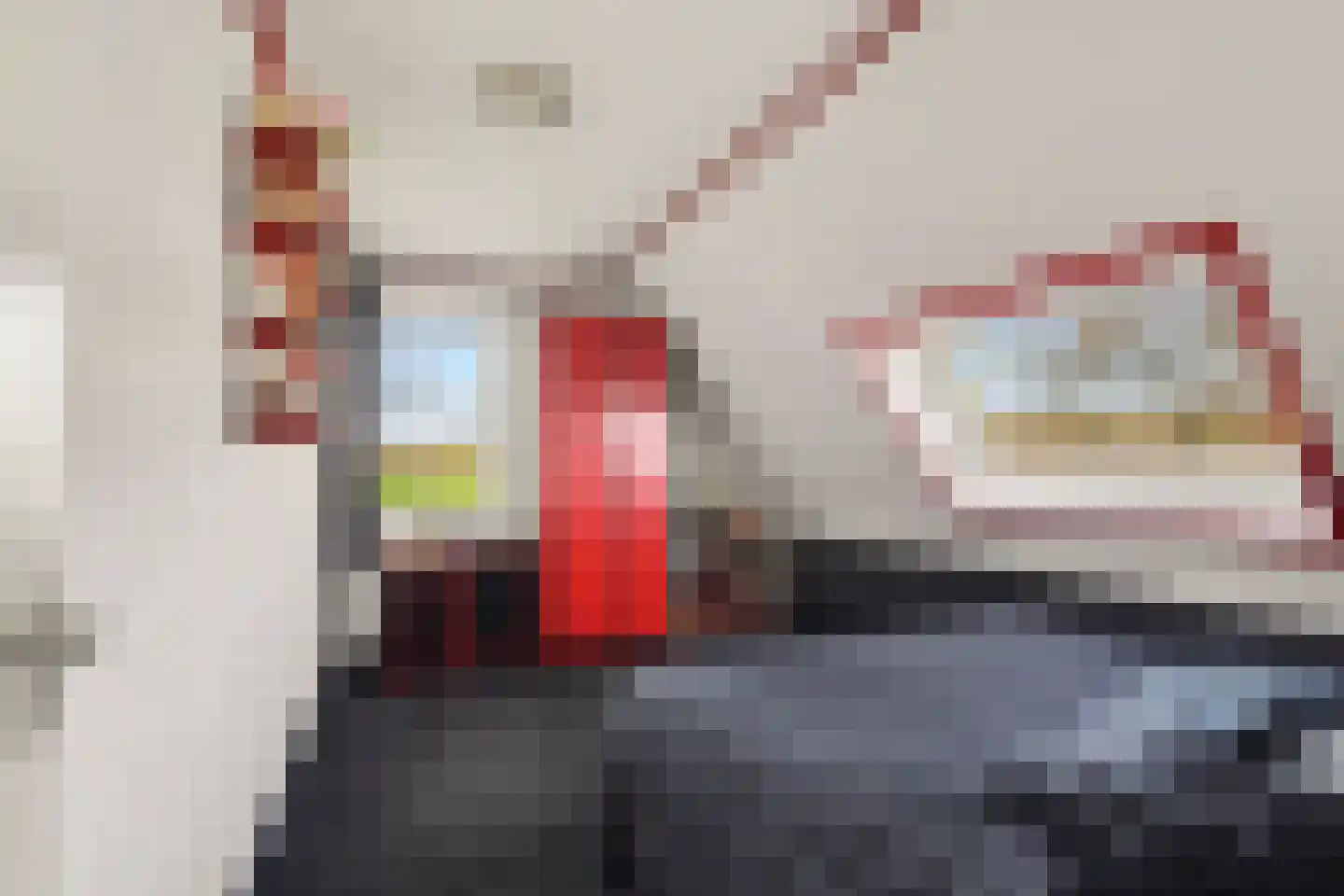 Linthorst-Homanlaan 1 Oosterhout thumbnail 24