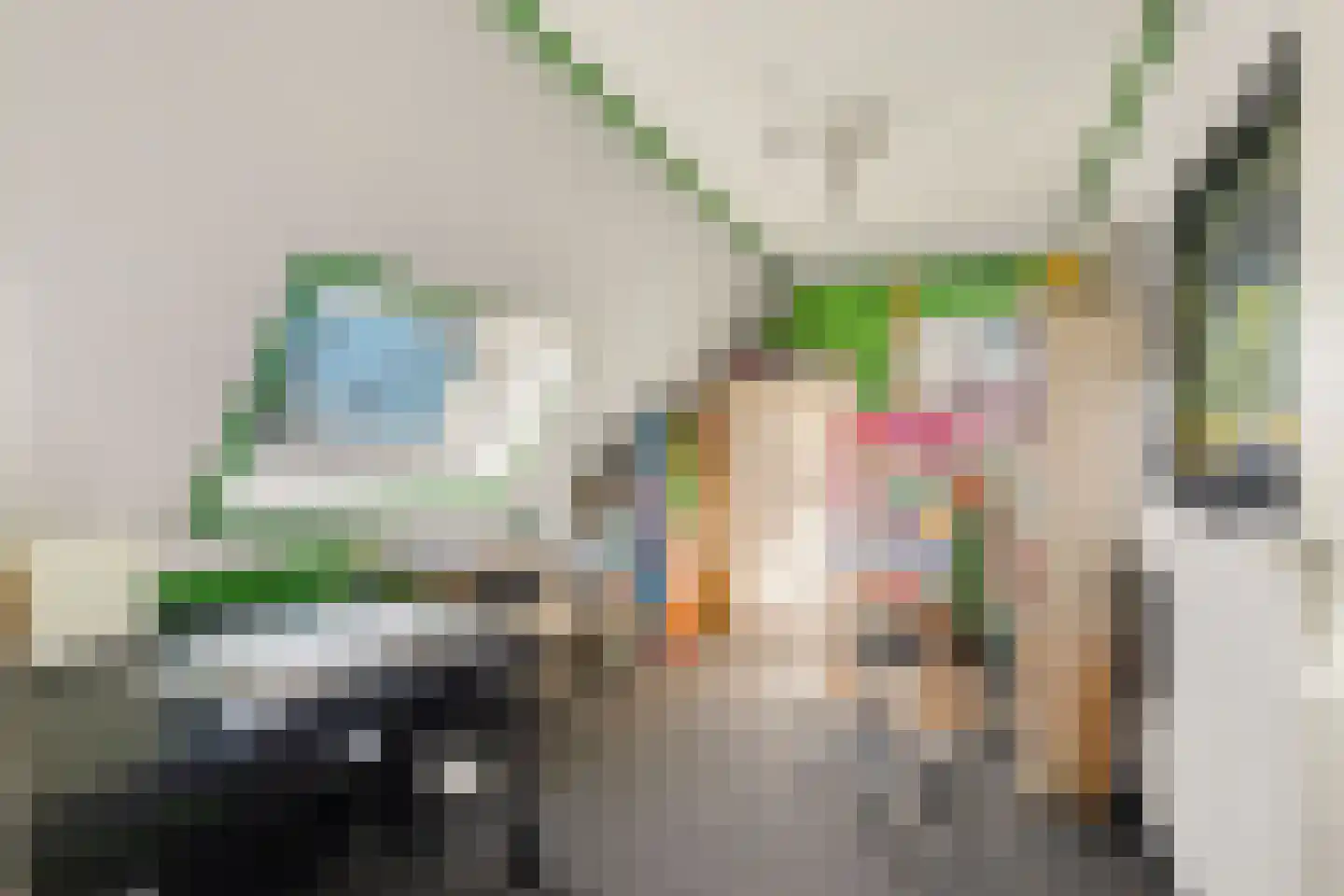 Linthorst-Homanlaan 1 Oosterhout thumbnail 25
