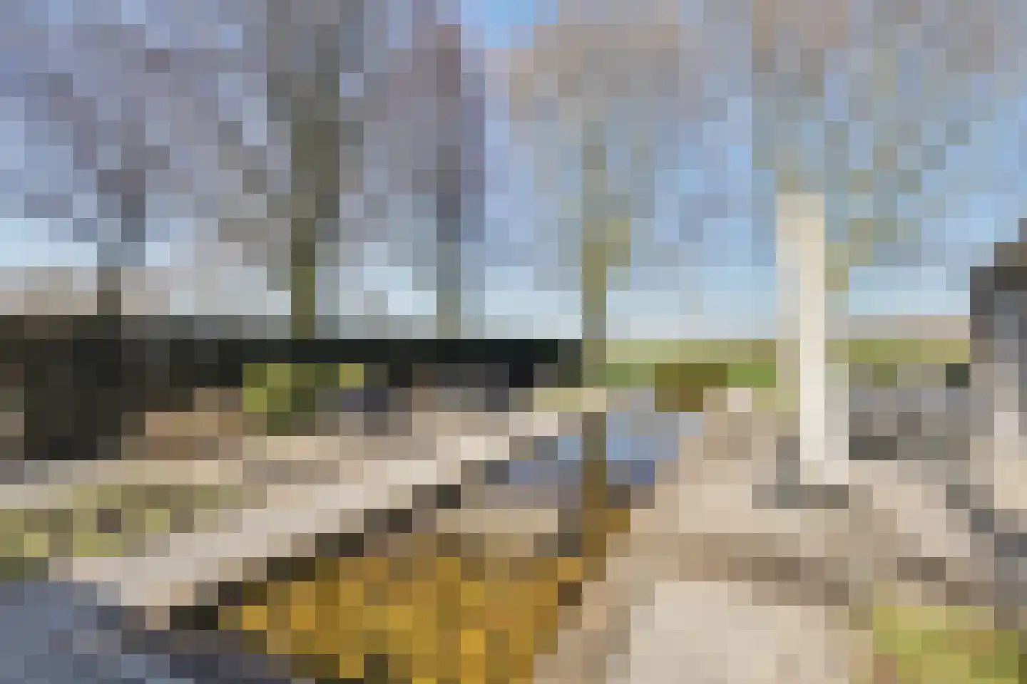 Linthorst-Homanlaan 1 Oosterhout thumbnail 26