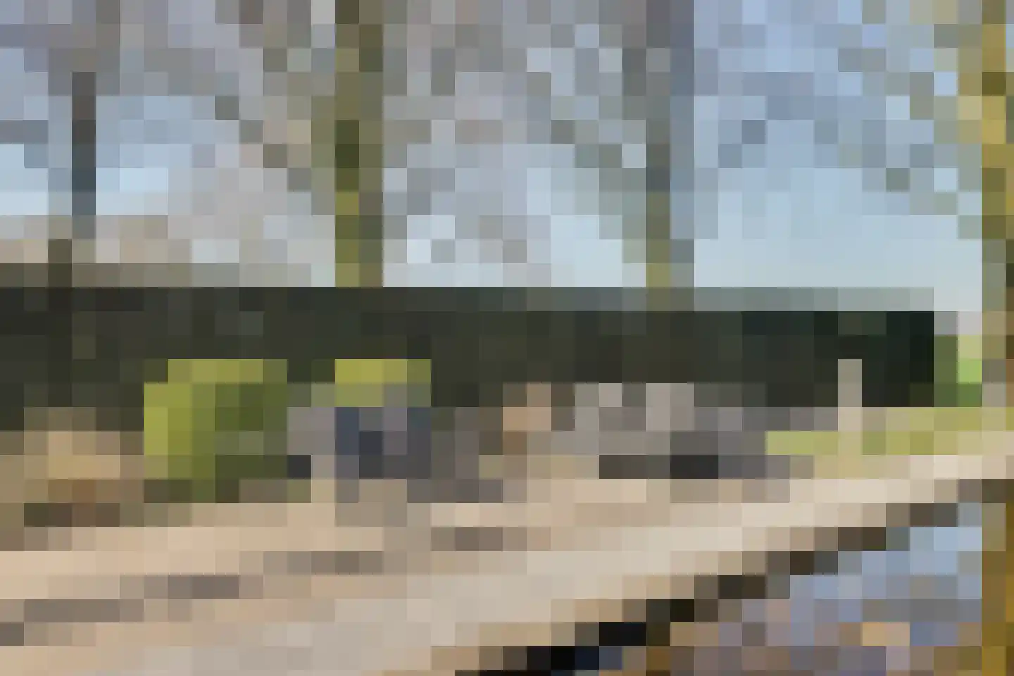 Linthorst-Homanlaan 1 Oosterhout thumbnail 27