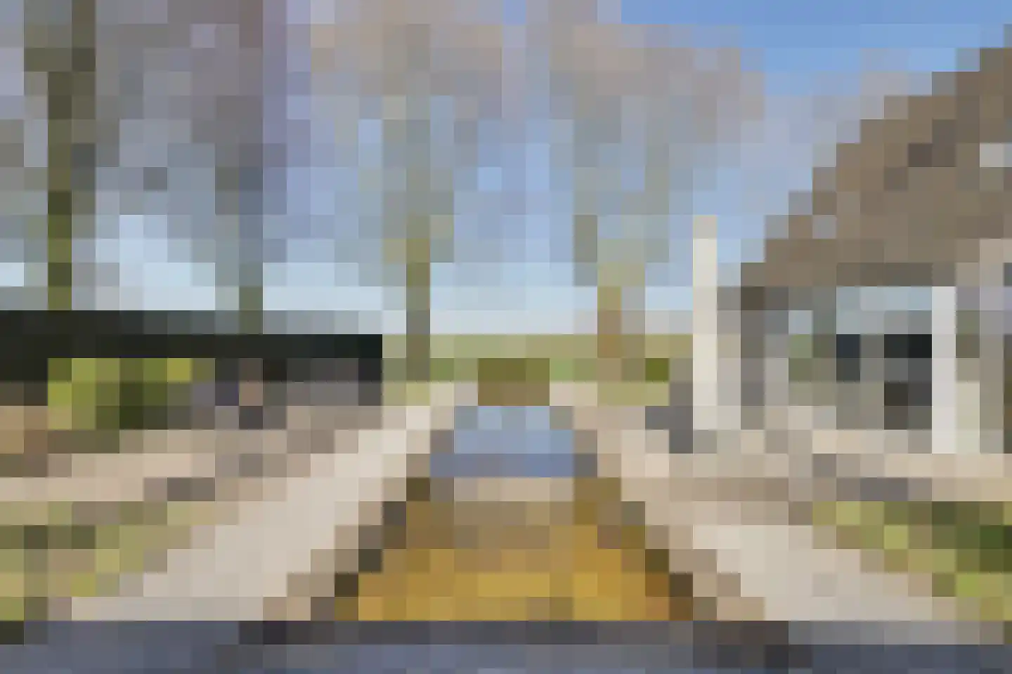 Linthorst-Homanlaan 1 Oosterhout thumbnail 6