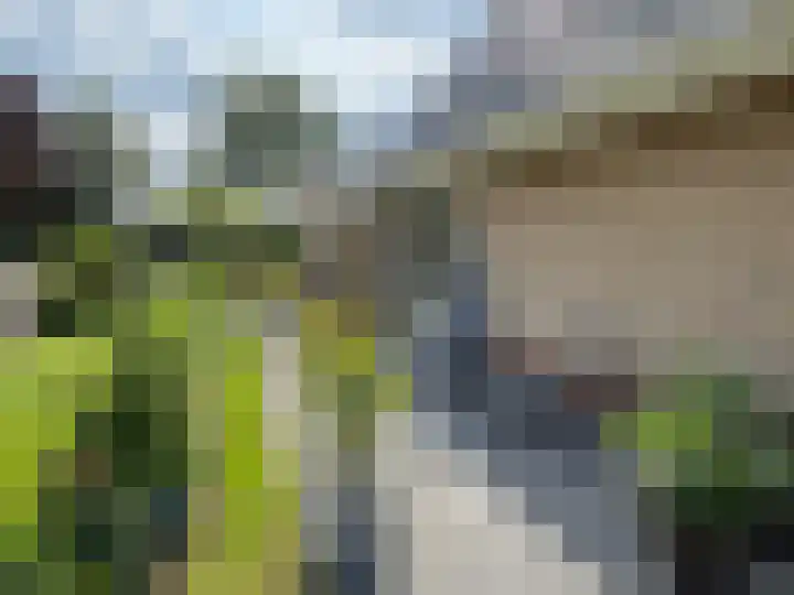 Linthorst Homanlaan 13 Coevorden thumbnail 18