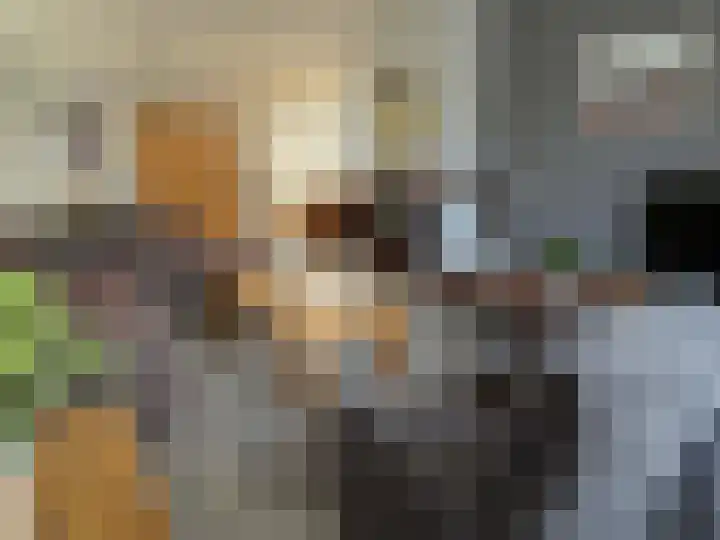 Linthorst Homanlaan 13 Coevorden thumbnail 4