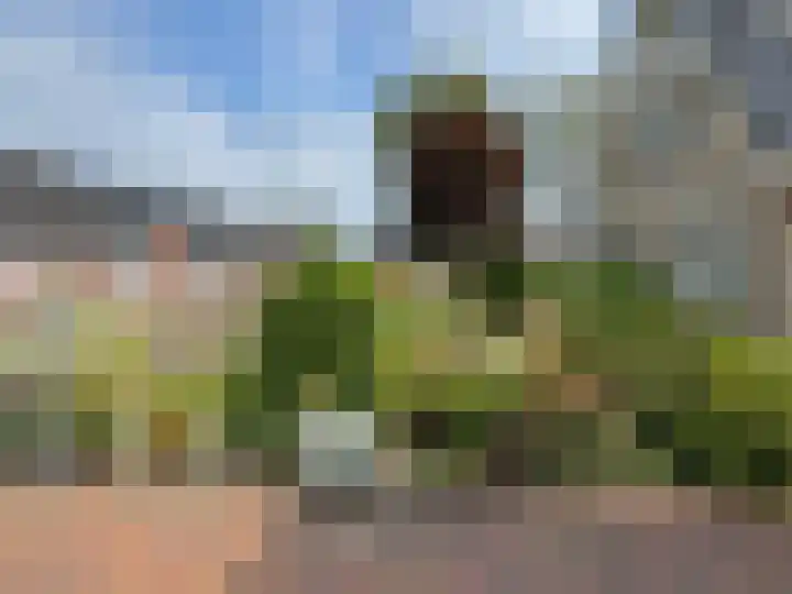 Linthorst Homanlaan 13 Coevorden thumbnail 9