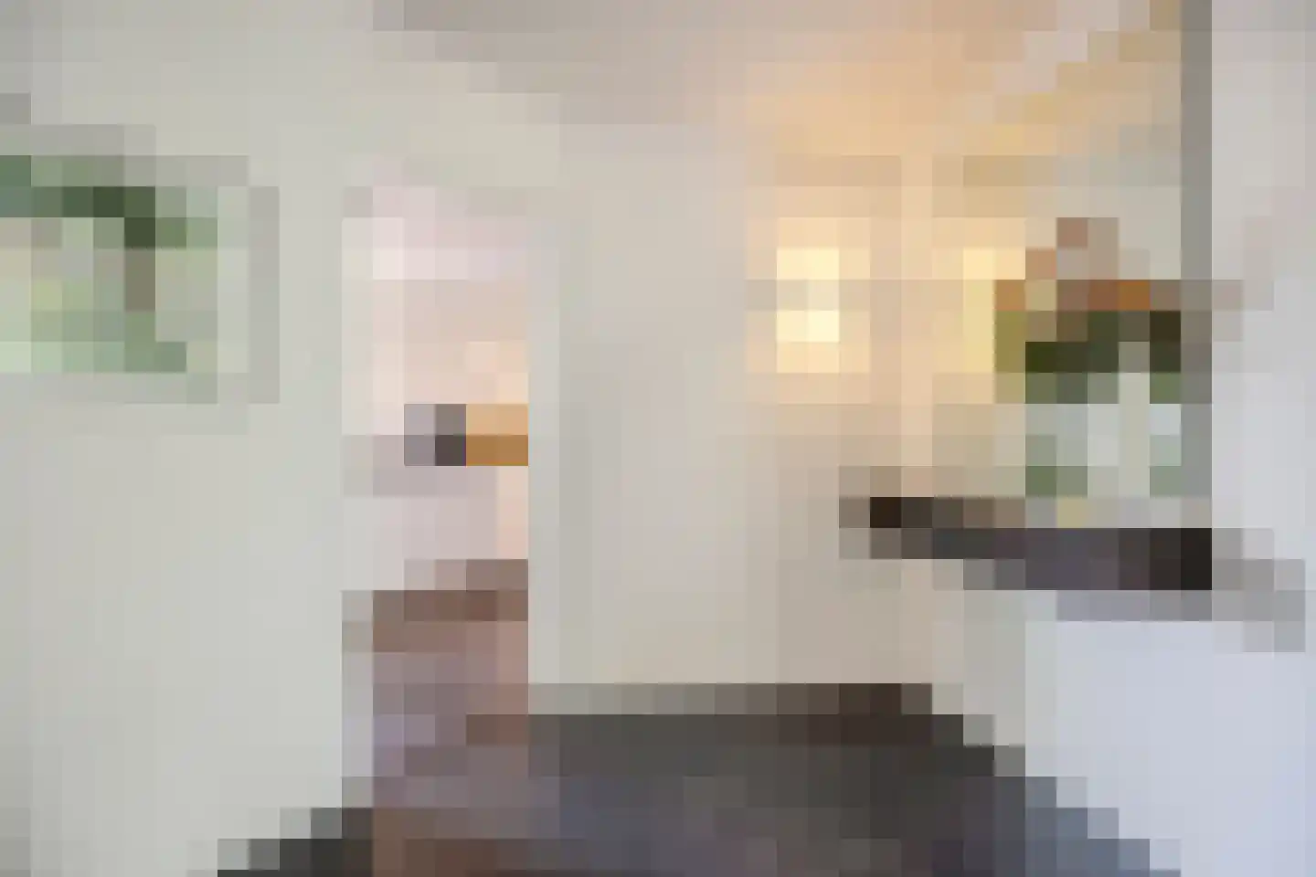 Linthorst-Homanlaan 33 Oosterhout thumbnail 23